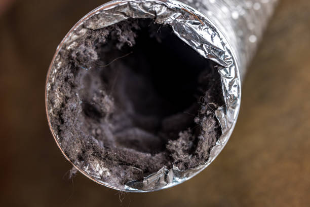 Best Air Duct Cleaning Near Me  in West Point, GA